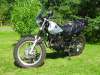 RIMG0098.JPG  167.8Ko