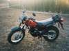 Aout 2003 img1.jpg  85.6Ko