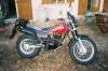 Aout 2003 img2.jpg  104.8Ko